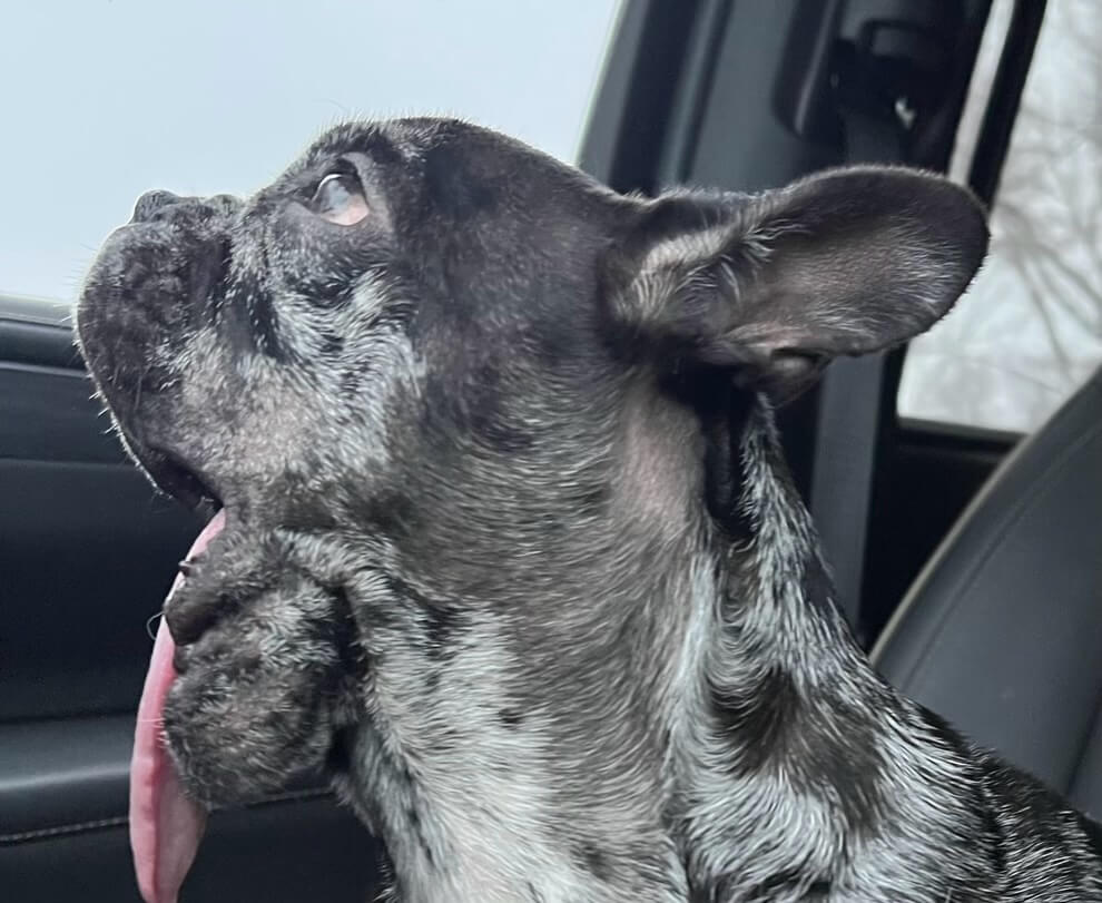 Georgia - Before Surgery