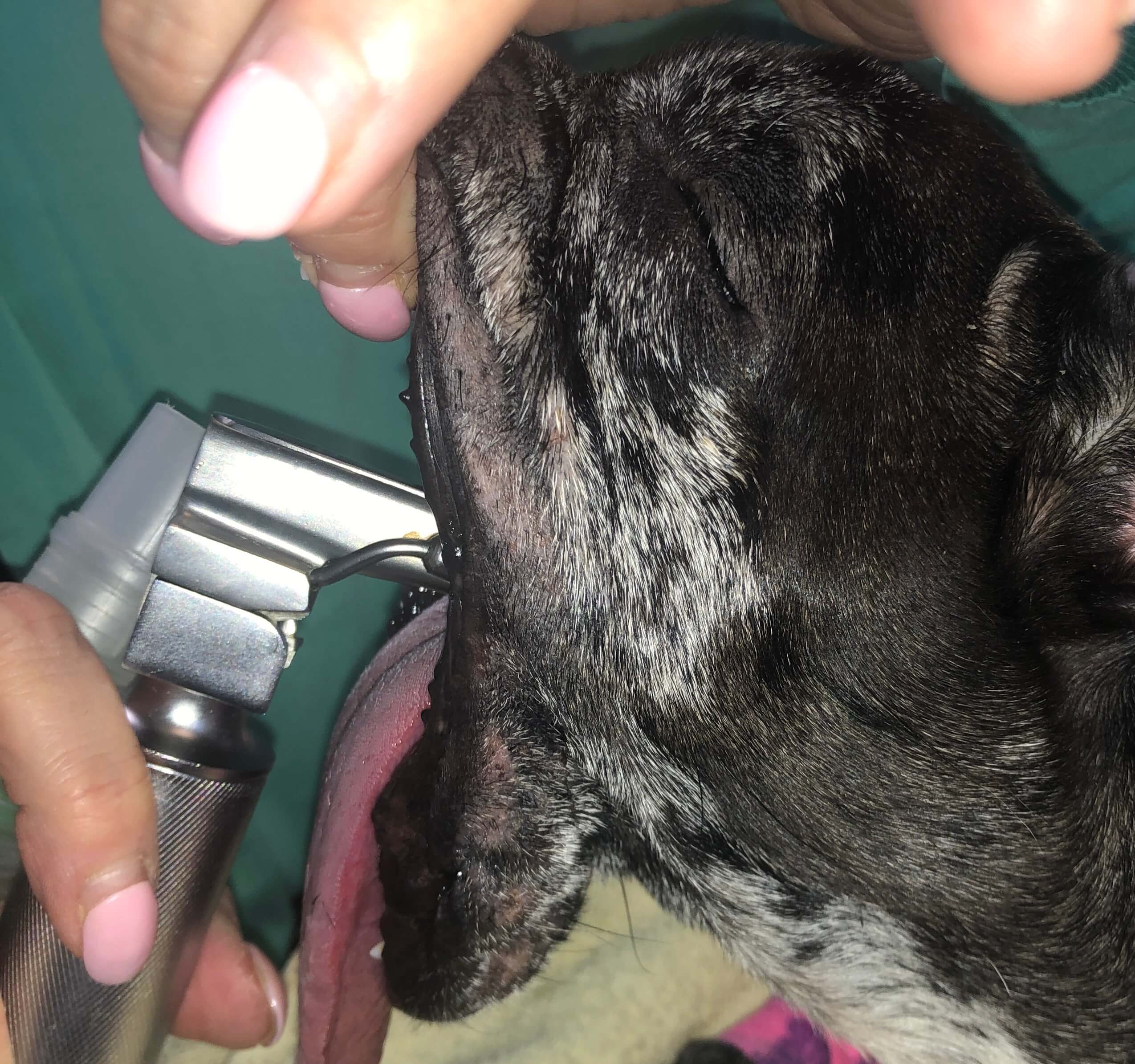 b4 should not open that far