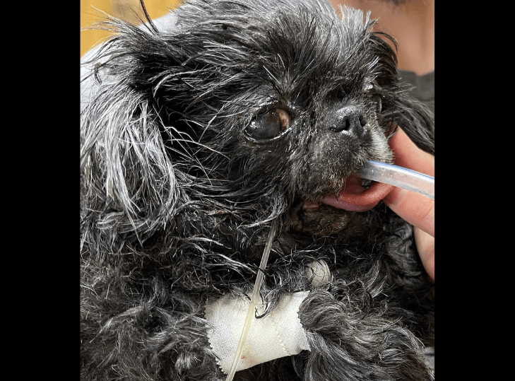 Looking good during recovery