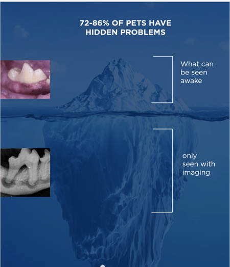 Iceberg graphics below the surface