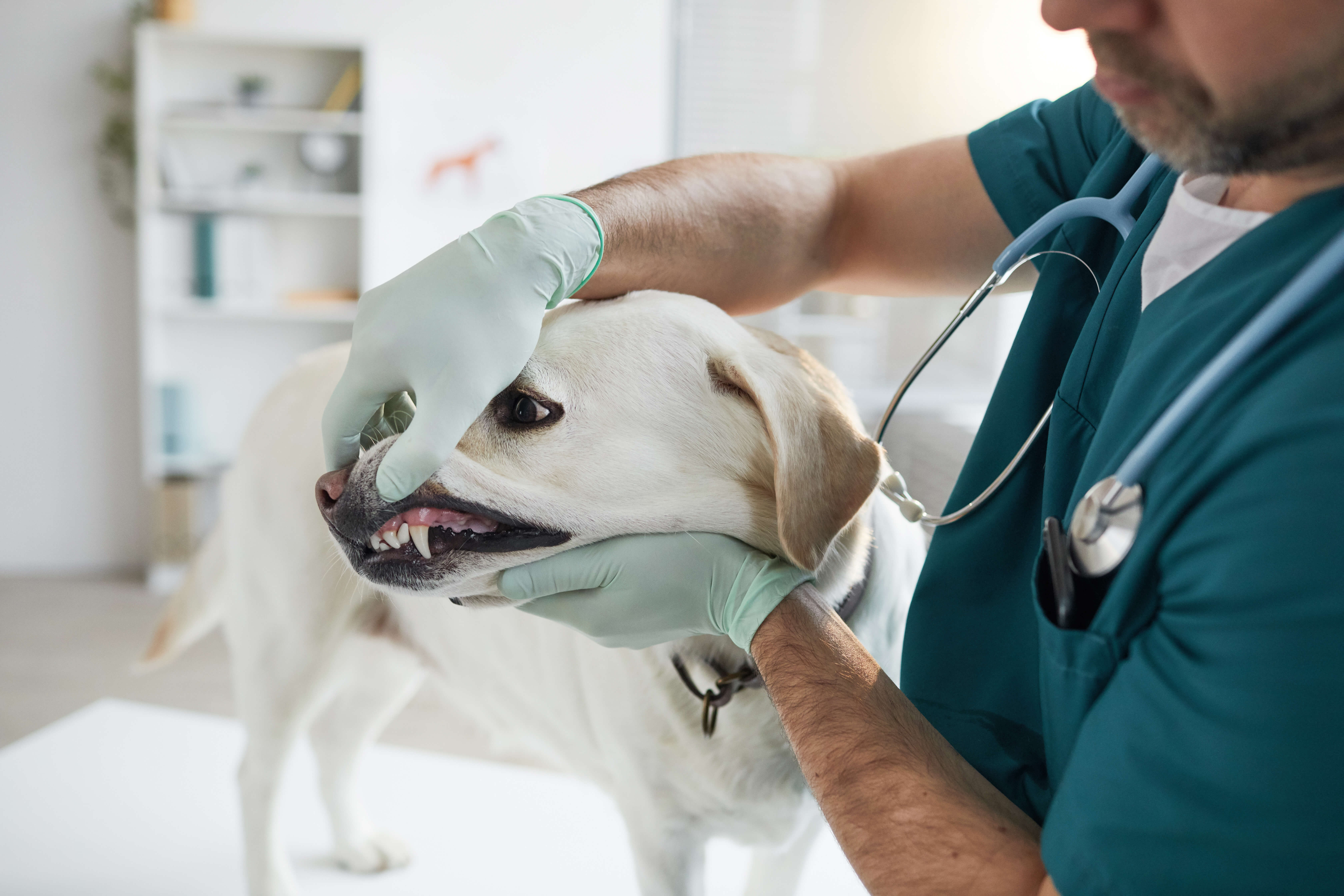 Patient Referral